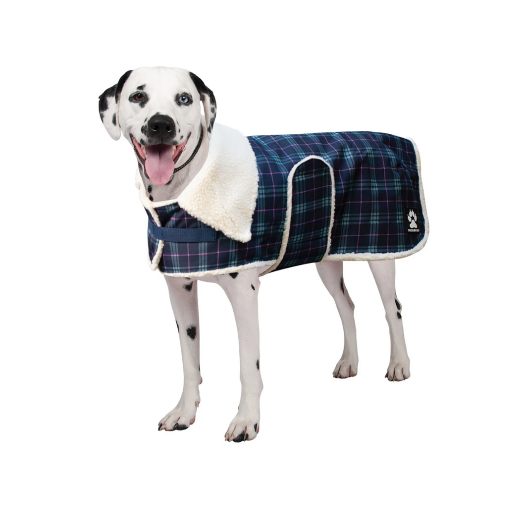 Shedrow K9 Aspen Dog Coat - Teal Pink Argyle