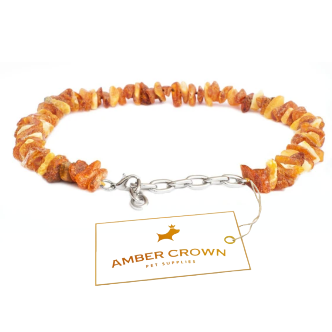 Amber tick dog deals collar