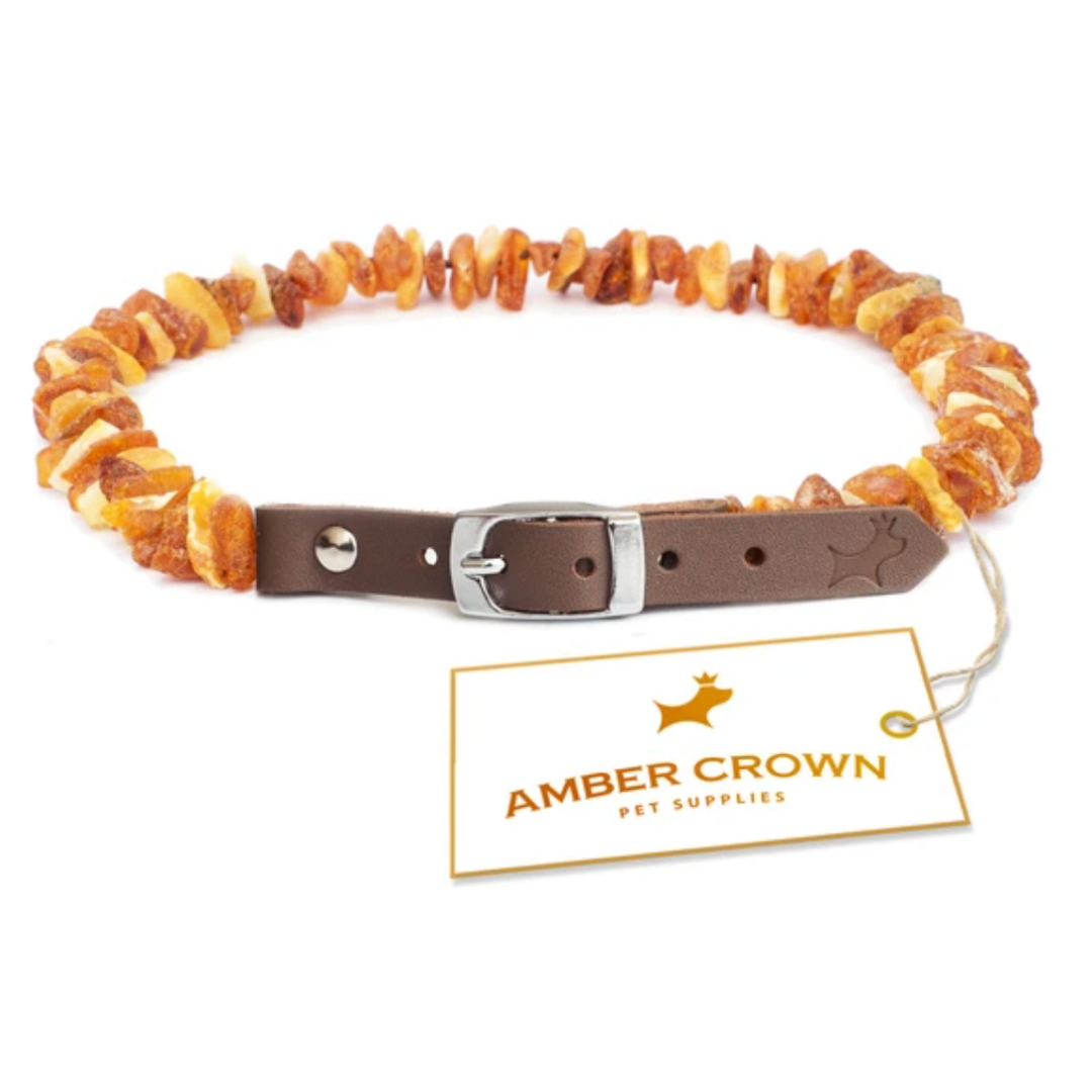 Amber tick cheap dog collar