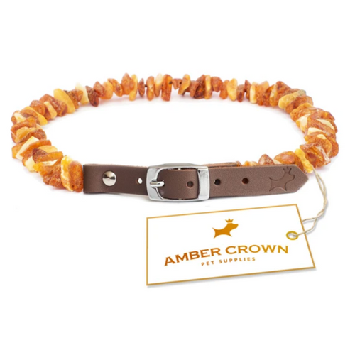 Amber Crown Collar with Adjustable Leather for Dogs