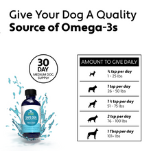 Load image into Gallery viewer, Four Leaf Rover - Safe-Sea Green Lipped Mussel Oil