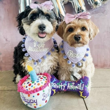 Load image into Gallery viewer, Huxley &amp; Kent Power Plush - Pawty Animal Bone