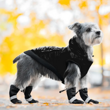 Load image into Gallery viewer, Canada Pooch Soft Shield Boots