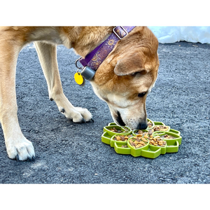 Soda Pup - Mandala Design eTray Enrichment Tray for Dogs - Green